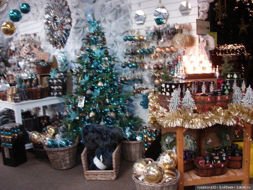 Мишка,Мишка....елка,елка — Туризм и путешествия: фотоотчеты из поездок