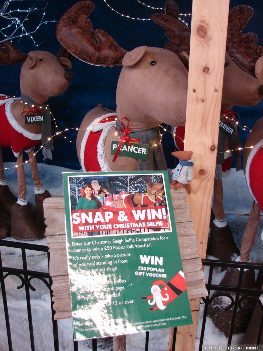 Мишка,Мишка....елка,елка — Туризм и путешествия: фотоотчеты из поездок