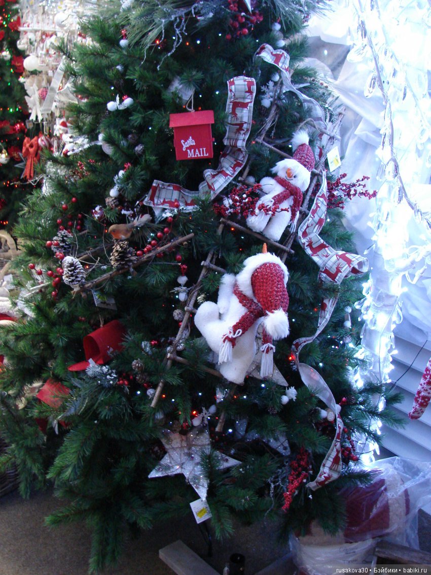 Мишка,Мишка....елка,елка — Туризм и путешествия: фотоотчеты из поездок