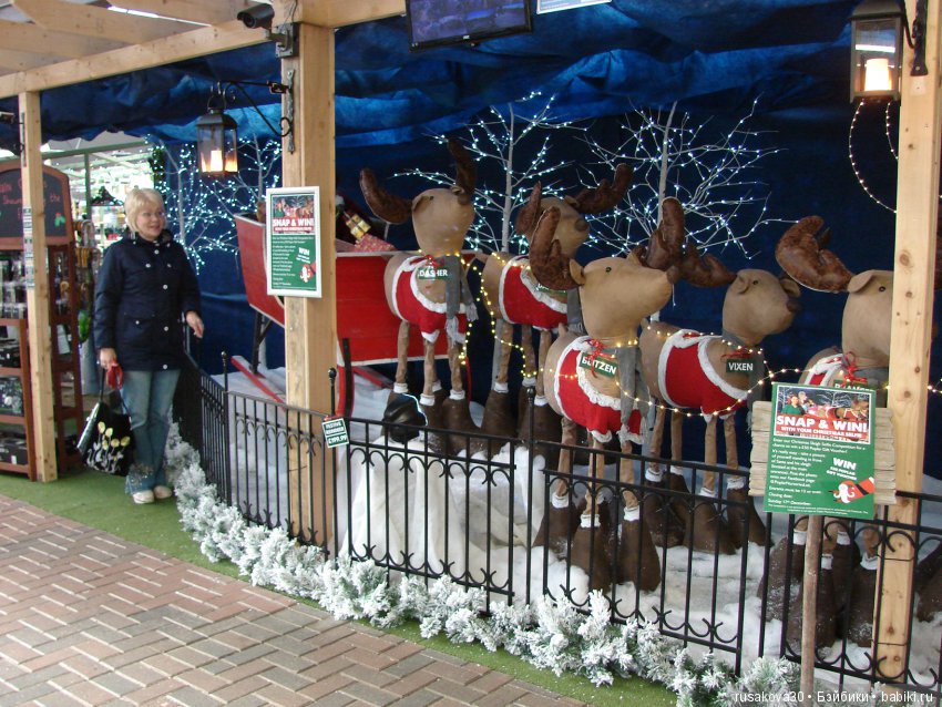 Мишка,Мишка....елка,елка — Туризм и путешествия: фотоотчеты из поездок