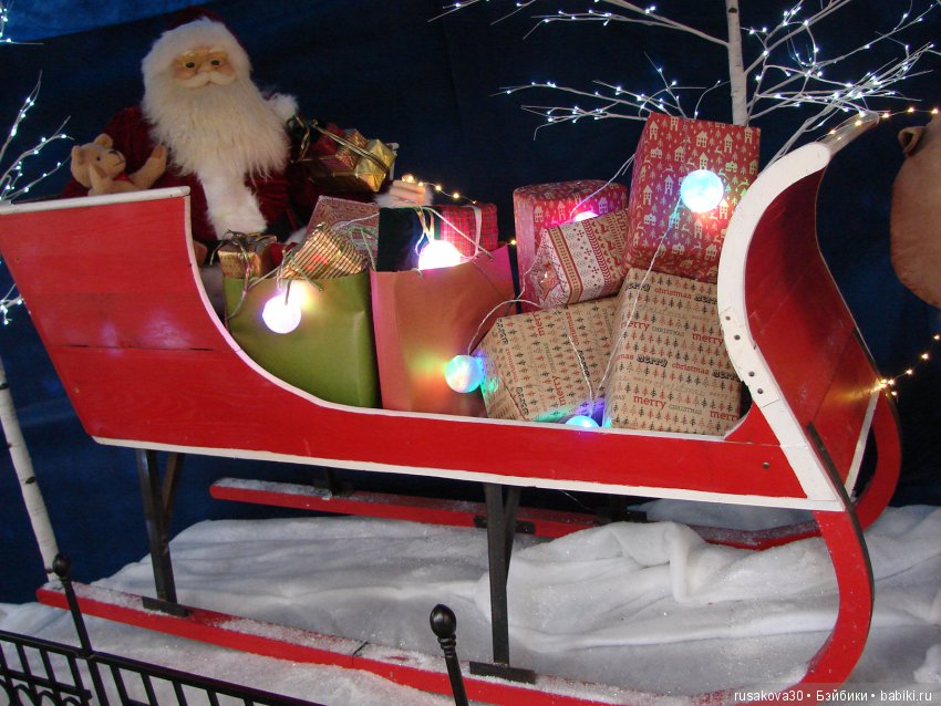 Мишка,Мишка....елка,елка — Туризм и путешествия: фотоотчеты из поездок