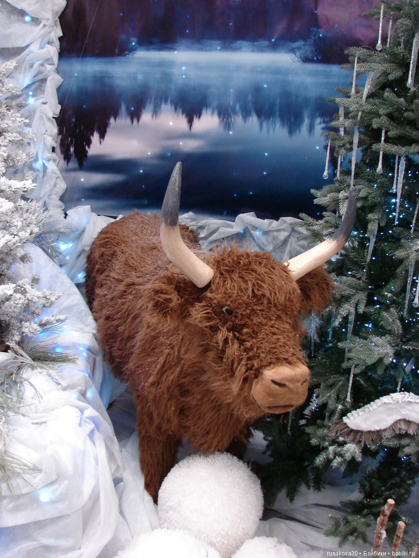 Мишка,Мишка....елка,елка — Туризм и путешествия: фотоотчеты из поездок