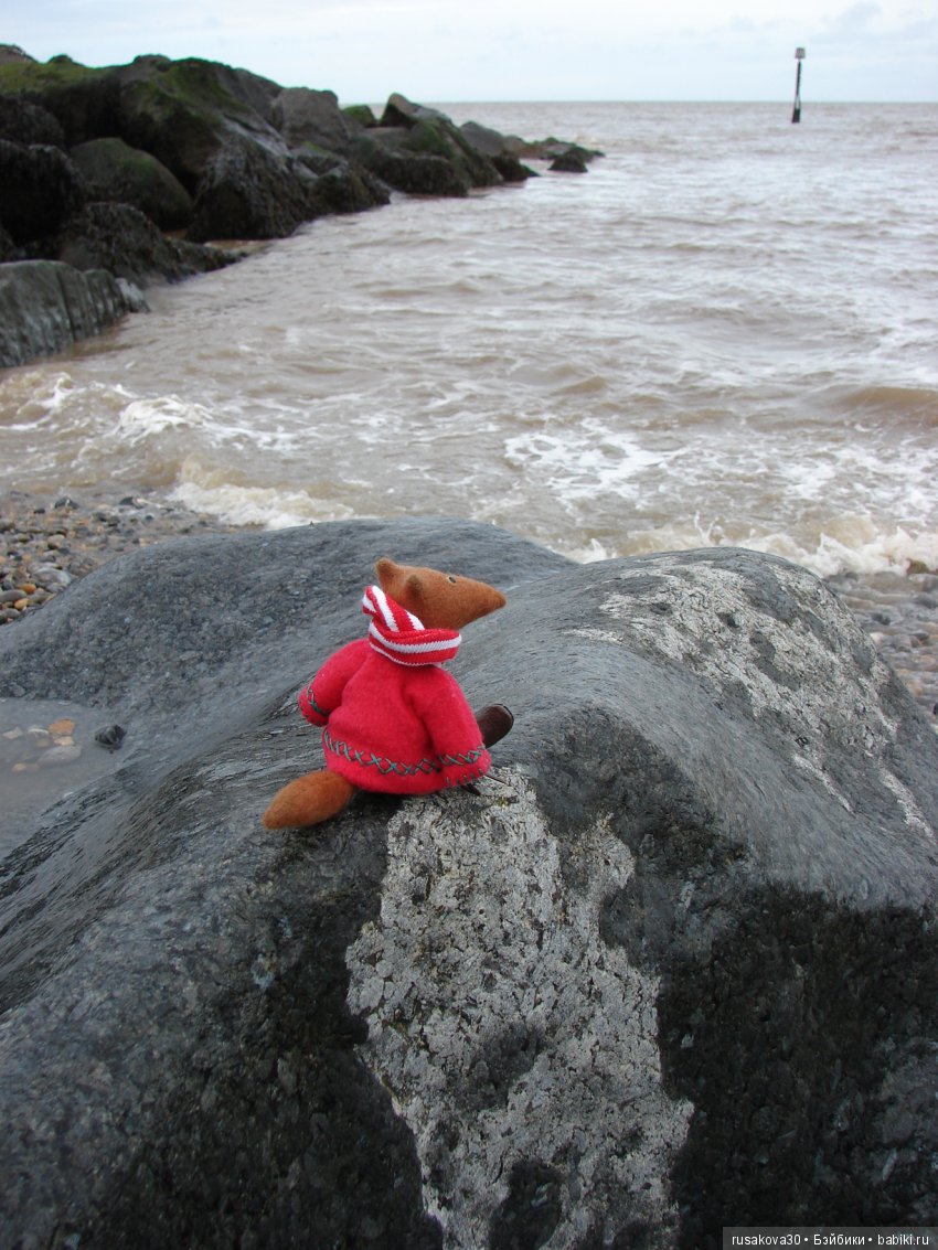 Людвиг и море — Туризм и путешествия: фотоотчеты из поездок