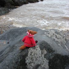 Людвиг и море ...