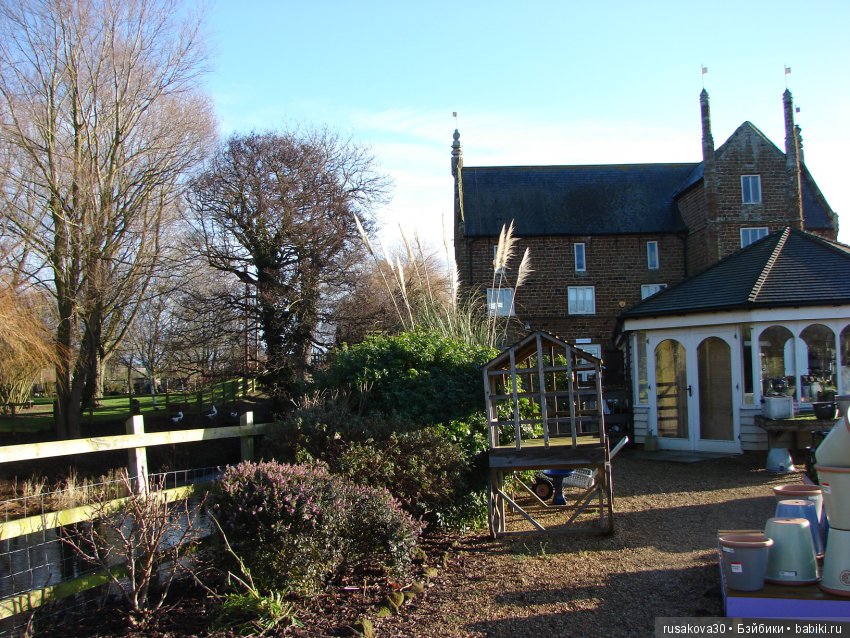 Как Людвиг наше Рождество отмечал (фото 10)