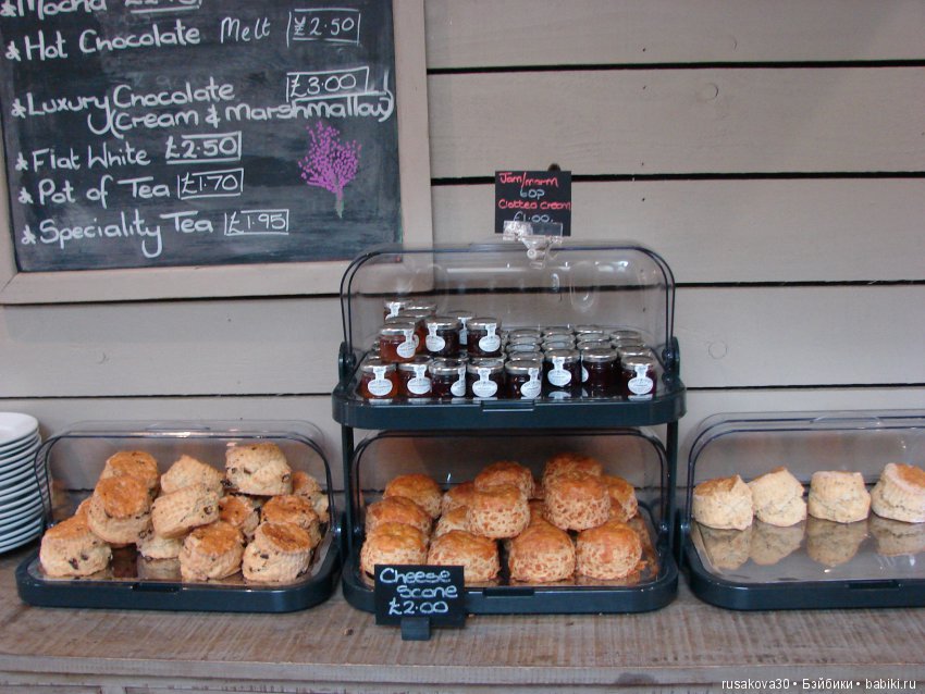 Как Людвиг наше Рождество отмечал