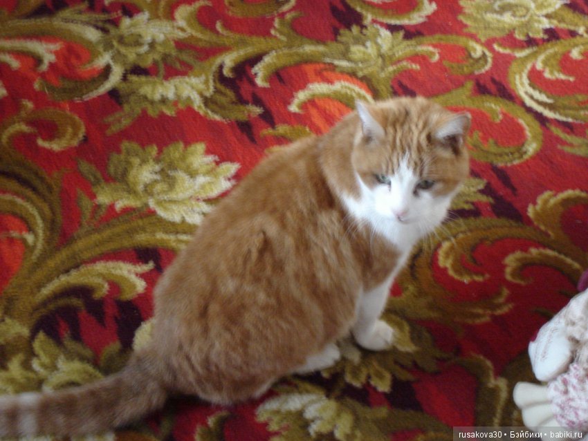 Старый Новый Год — Куклы Маша и Медведь (Simba): Маша в кармашке