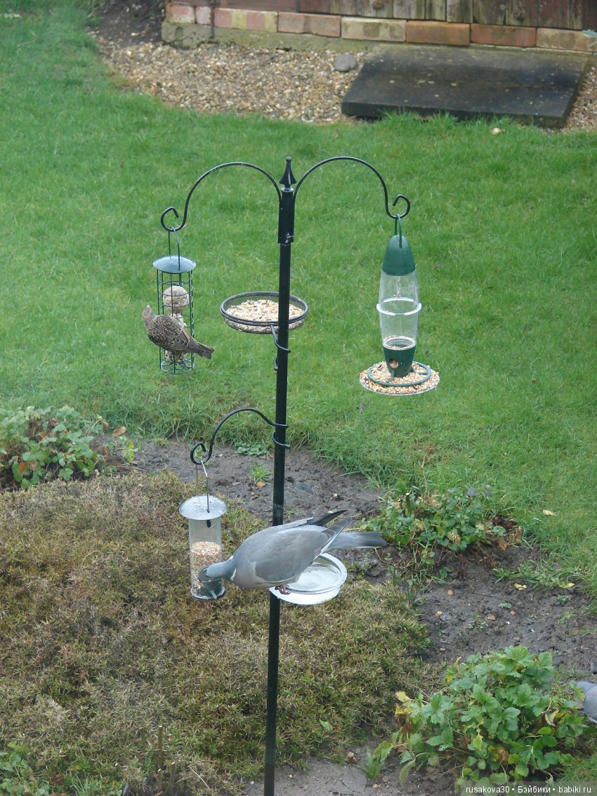 Покормите птиц зимой — Домашние фото авторских игрушек: Тедди