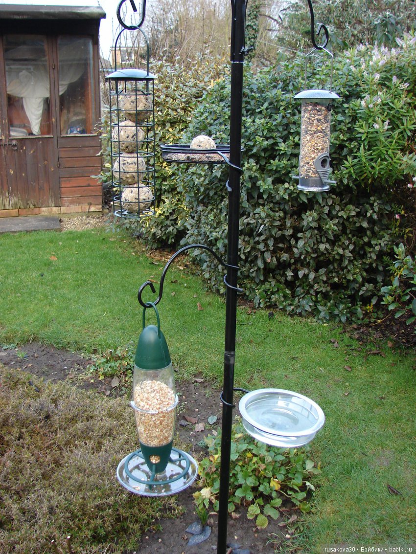 Покормите птиц зимой — Домашние фото авторских игрушек: Тедди