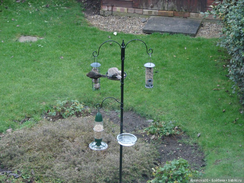 Покормите птиц зимой — Домашние фото авторских игрушек: Тедди