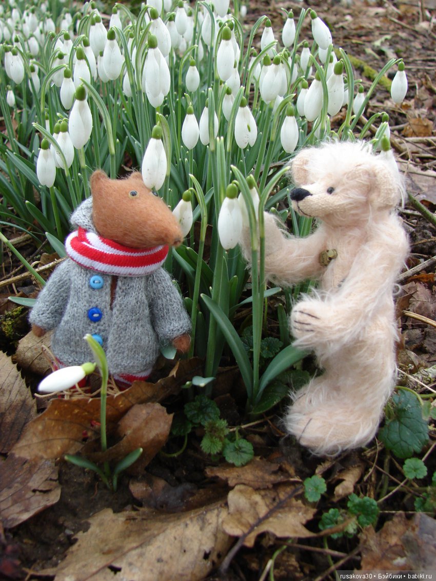 Двенадцать месяцев,февраль...подснежники | Бэйбики Двенадцать месяцев,февраль...подснежники