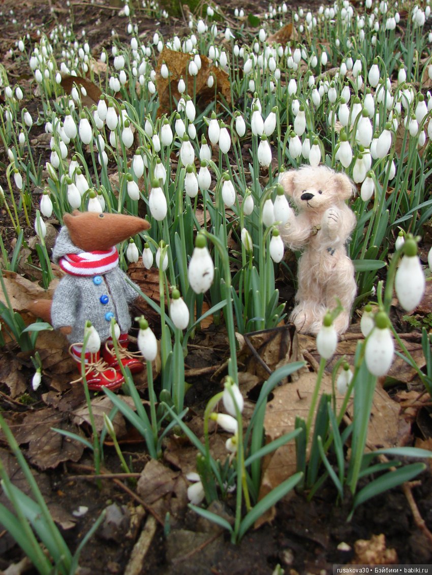 Двенадцать месяцев,февраль...подснежники | Бэйбики Двенадцать месяцев,февраль...подснежники