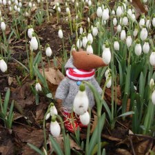 Двенадцать месяцев,февраль...подснежники.