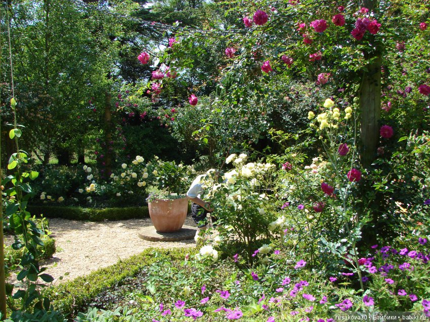 Сад в доме Claydon house (Дом Клейдон)