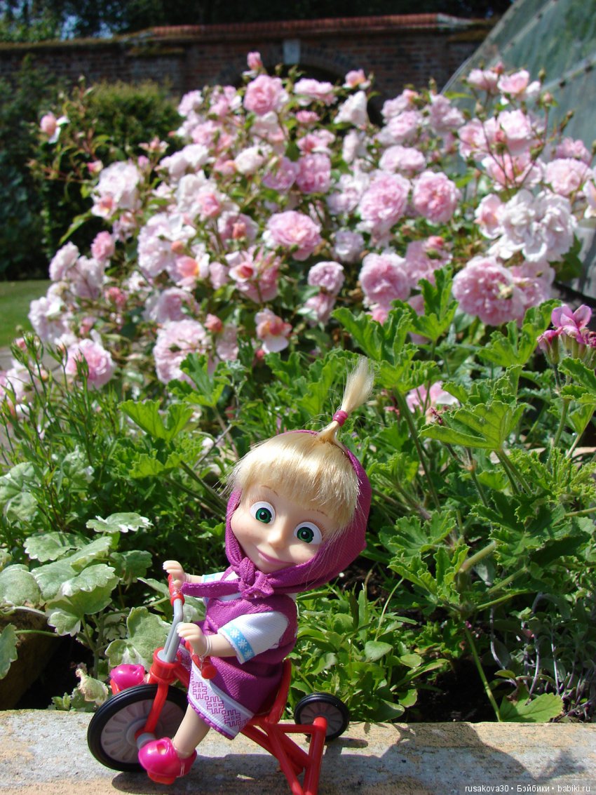 Сад в доме Claydon house (Дом Клейдон)