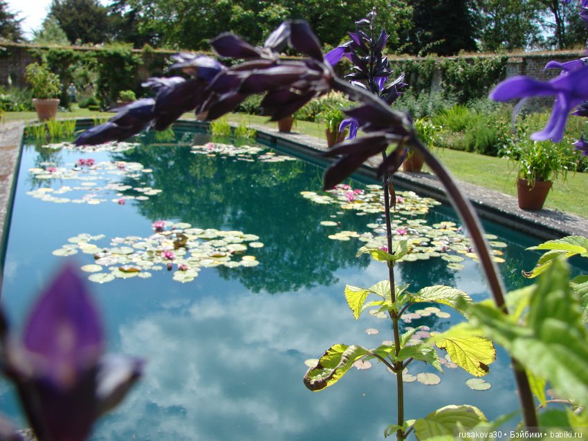 Сад в доме Claydon house (Дом Клейдон)