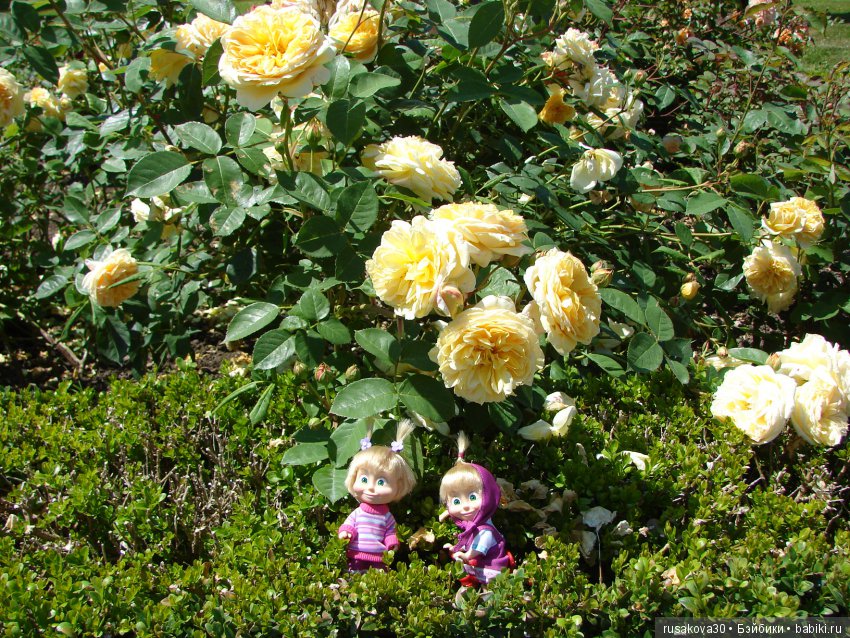 Сад в доме Claydon house (Дом Клейдон) (фото 6)