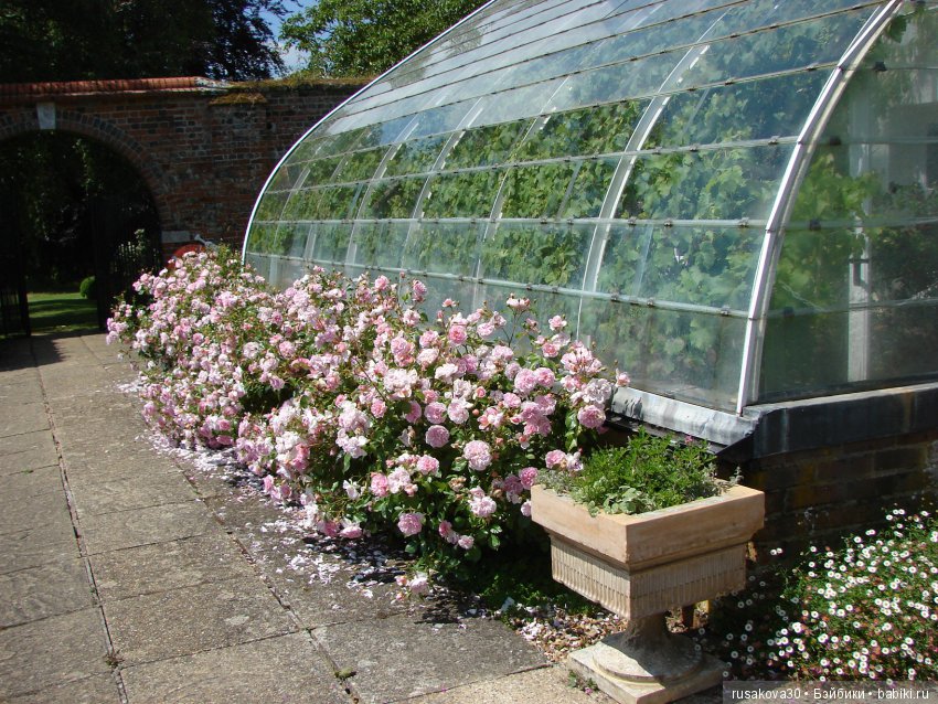 Сад в доме Claydon house (Дом Клейдон)