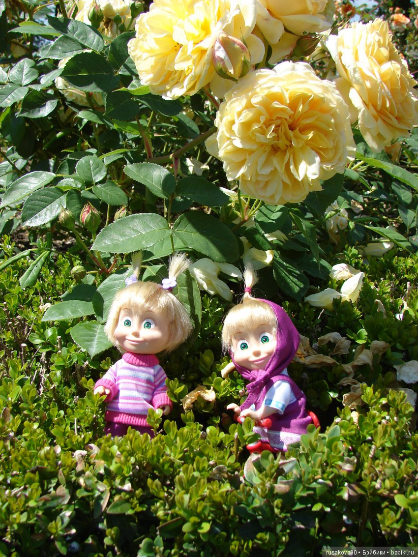 Сад в доме Claydon house (Дом Клейдон)