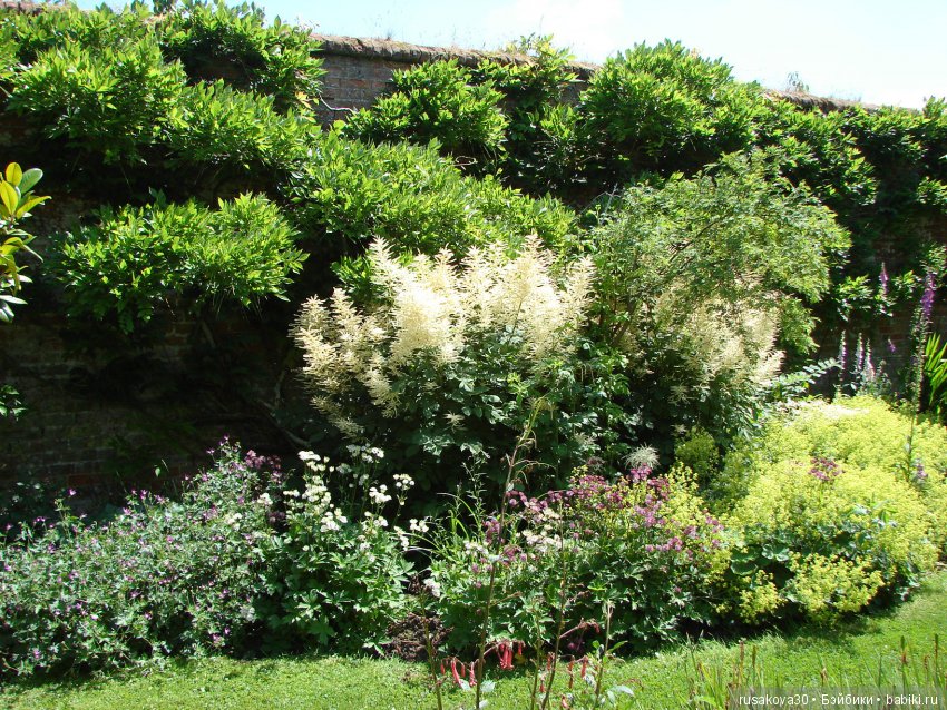 Сад в доме Claydon house (Дом Клейдон)