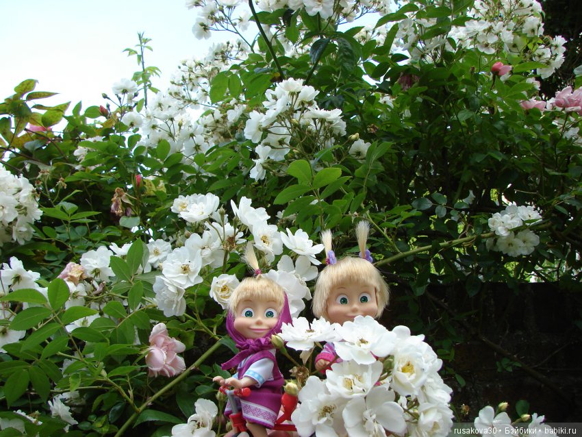 Это было летом летом, это было прошлым летом (фото 8)