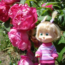 Сад в доме Claydon house (Дом Клейдон)