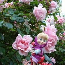 Это было летом летом, это было прошлым летом