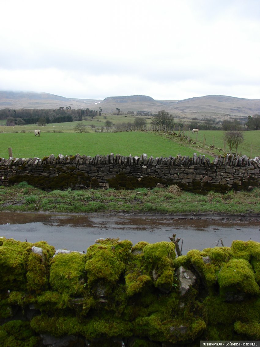 Путешествия Людвига в графстве Дарем