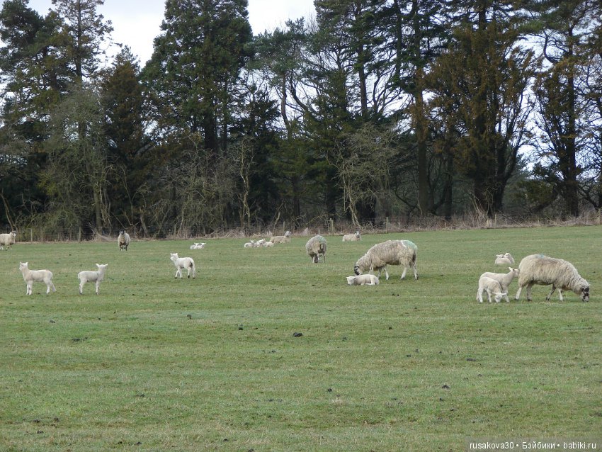 Путешествия Людвига в графстве Дарем