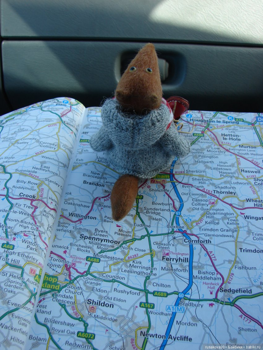 Путешествия Людвига в графстве Дарем (фото 2)