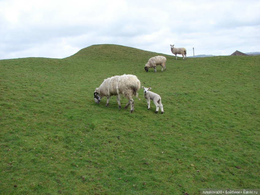 Путешествия Людвига в графстве Дарем