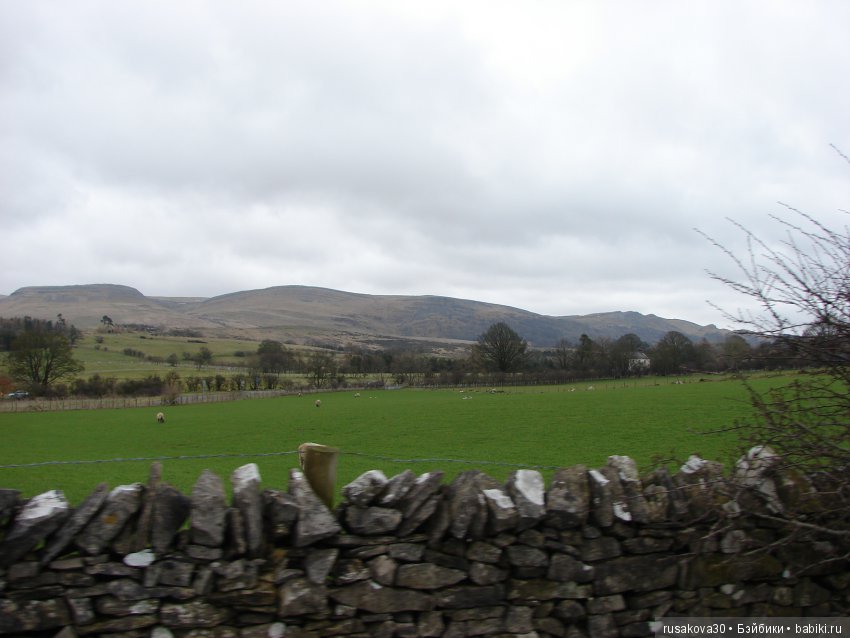 Путешествия Людвига в графстве Дарем (фото 8)