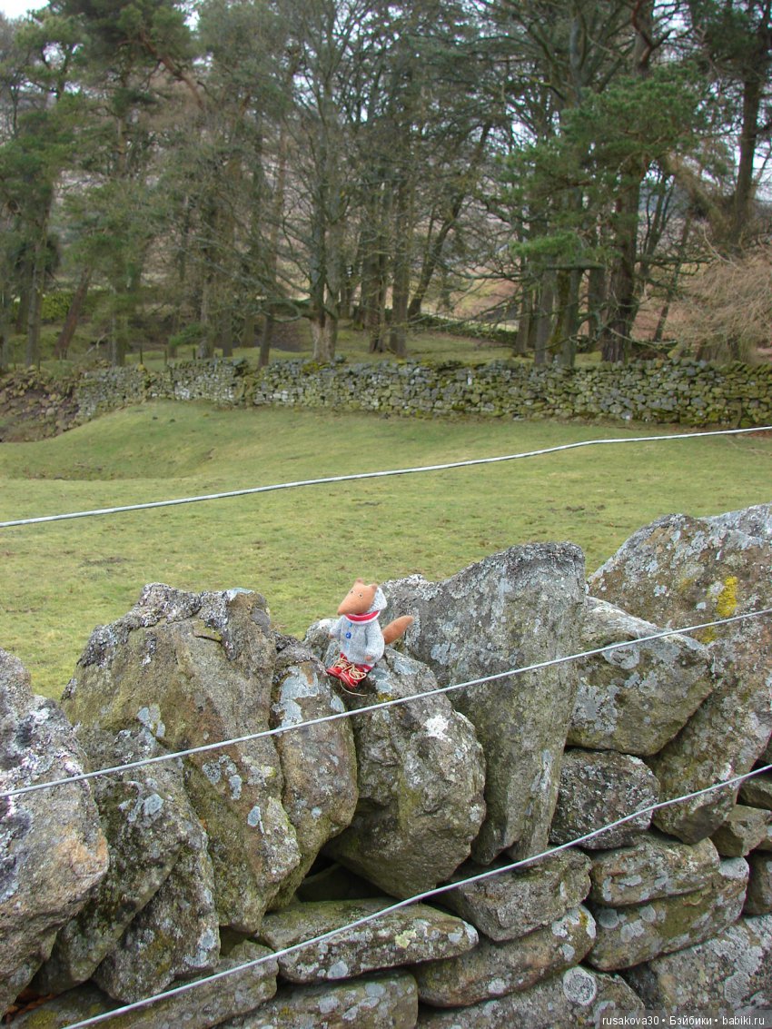 Путешествия Людвига в графстве Дарем (фото 10)