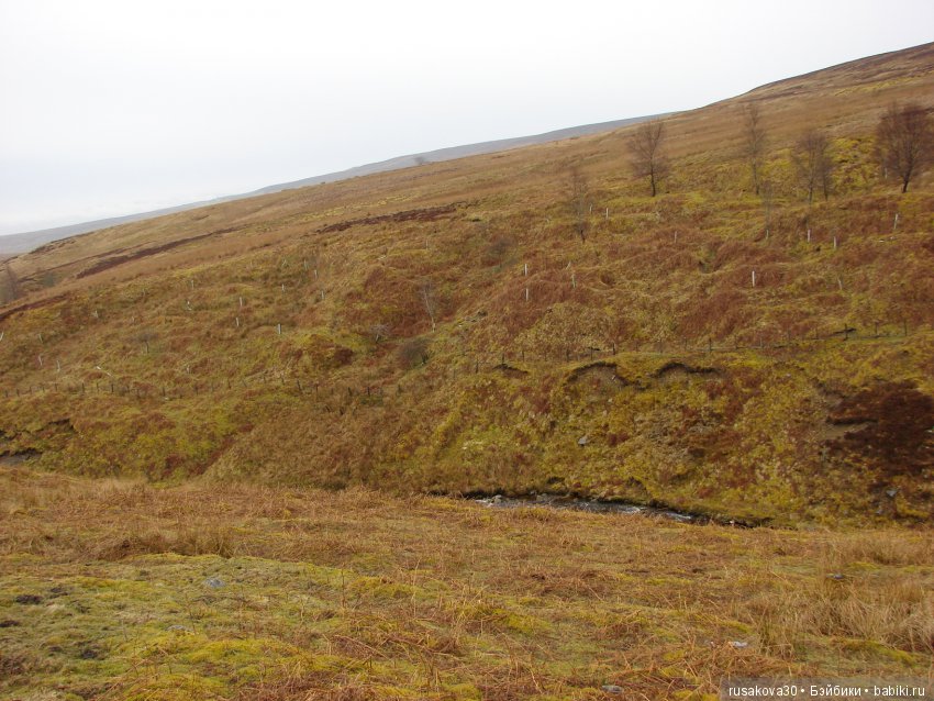 Путешествия Людвига в графстве Дарем (фото 7)