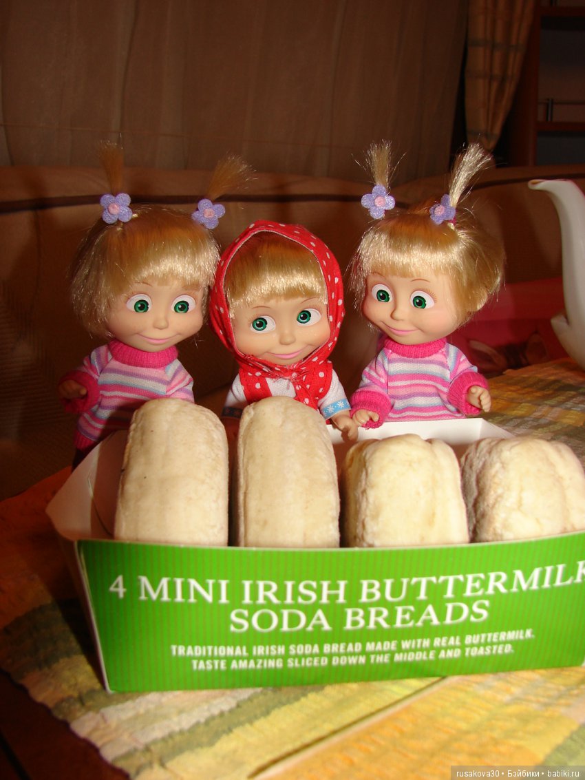 Путешествия Людвига в графстве Дарем