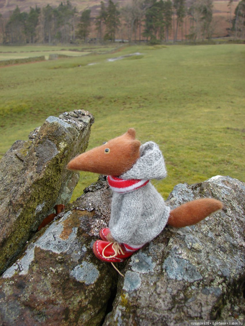 Путешествия Людвига в графстве Дарем