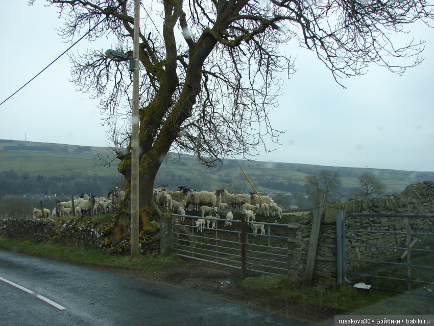Путешествия Людвига в графстве Дарем