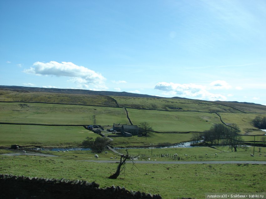 Путешествия Людвига в графстве Дарем (фото 3)