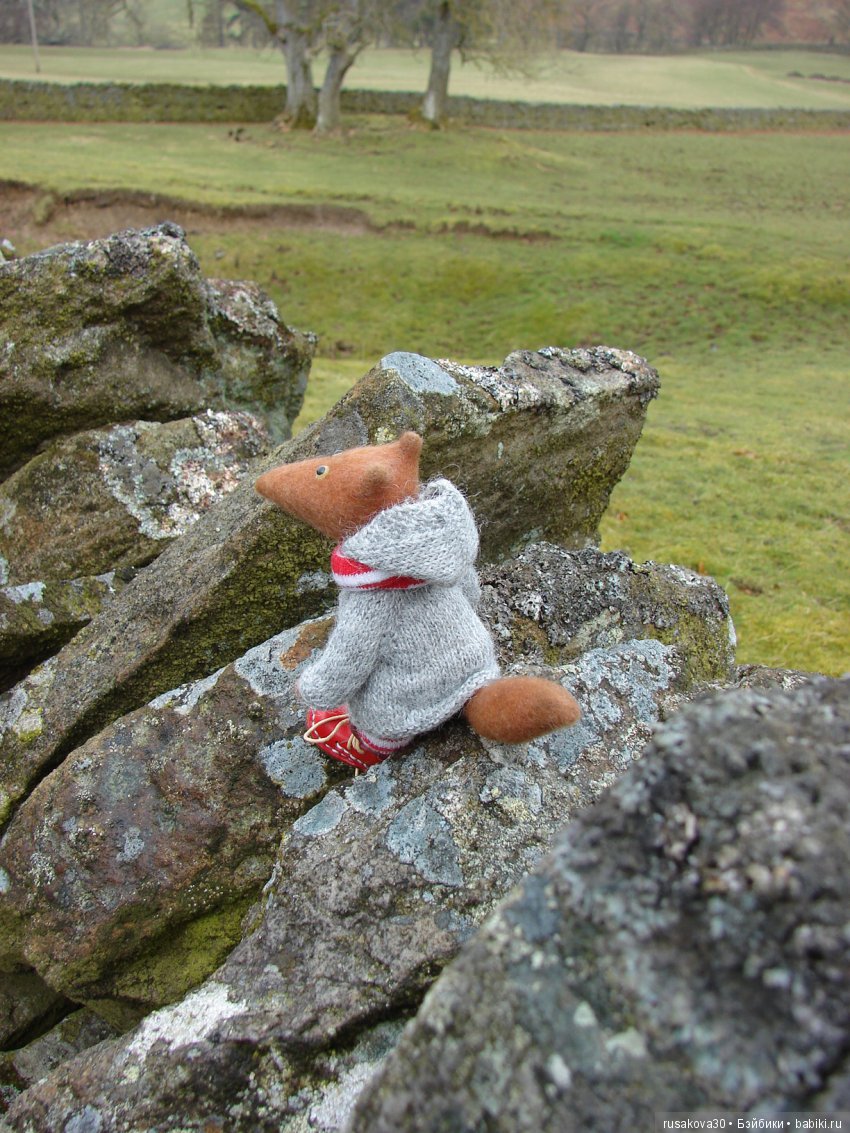 Путешествия Людвига в графстве Дарем (фото 9)