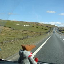 Путешествия Людвига в графстве Дарем.