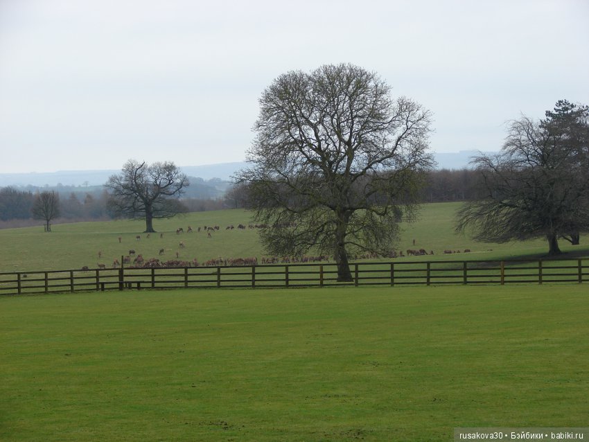 Шикарный замок Рэби (Raby Castle)