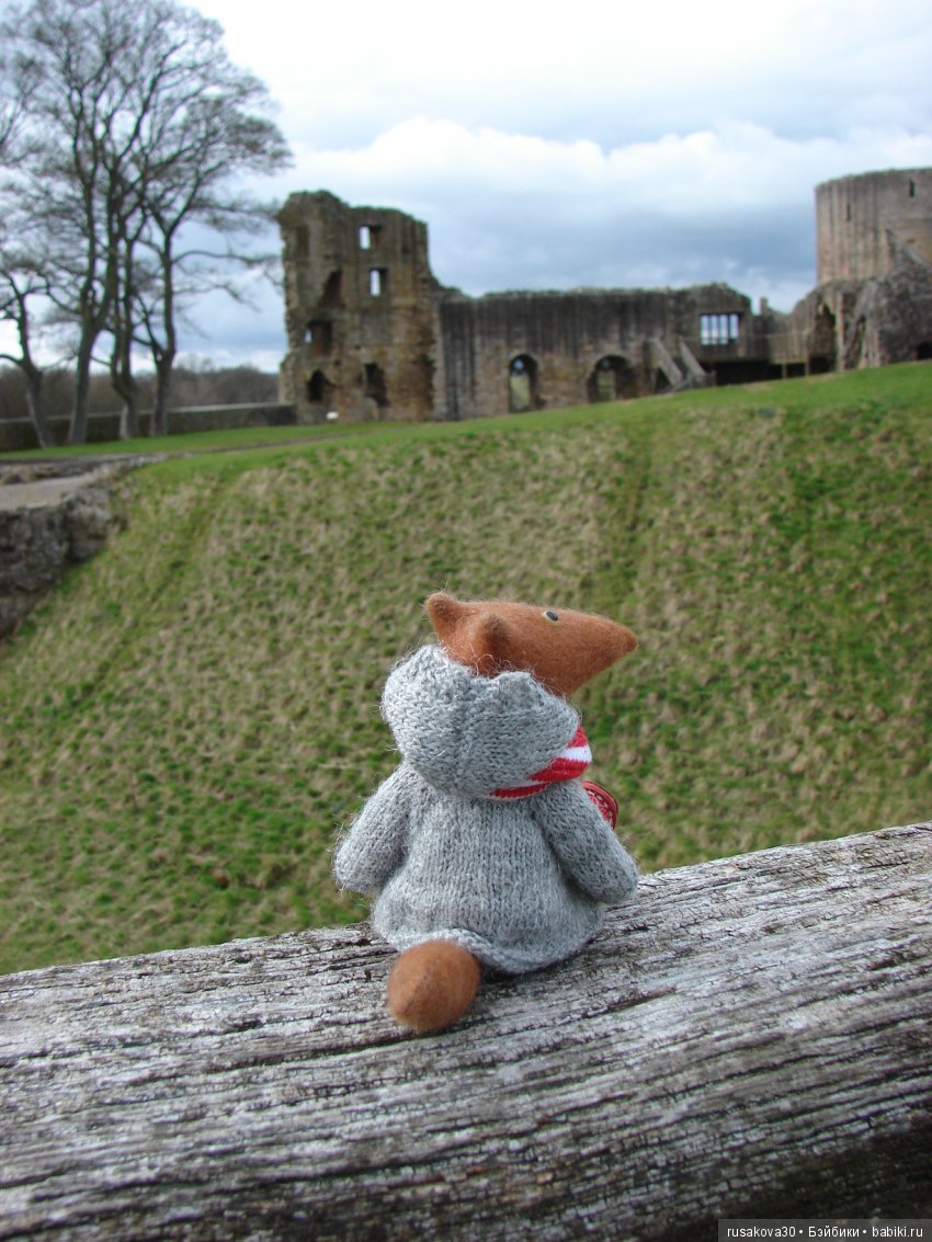 Как Людвиг замок Барнард осматривал (фото 4)