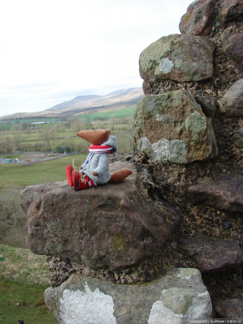 Замки графства Дарем — Туризм и путешествия: фотоотчеты из поездок