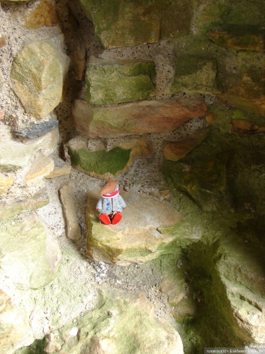 Как Людвиг замок Барнард осматривал