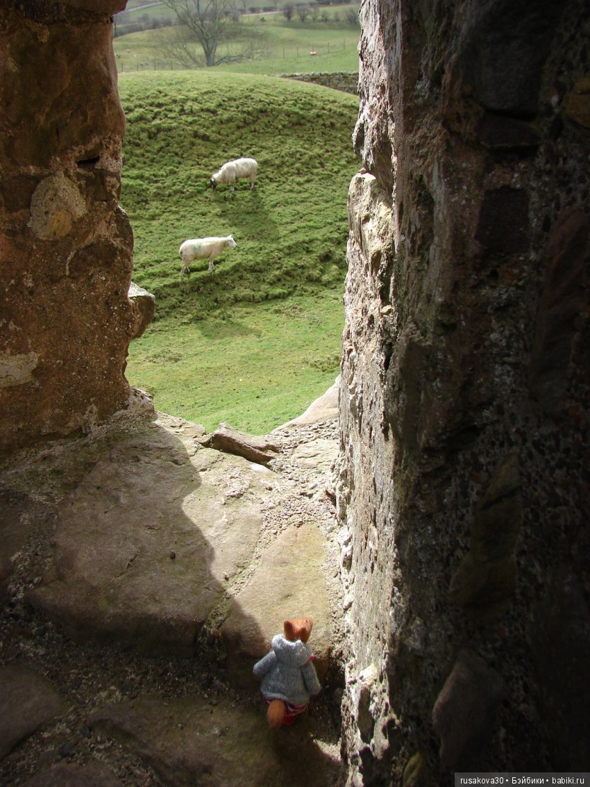 Замки графства Дарем — Туризм и путешествия: фотоотчеты из поездок (фото 10)