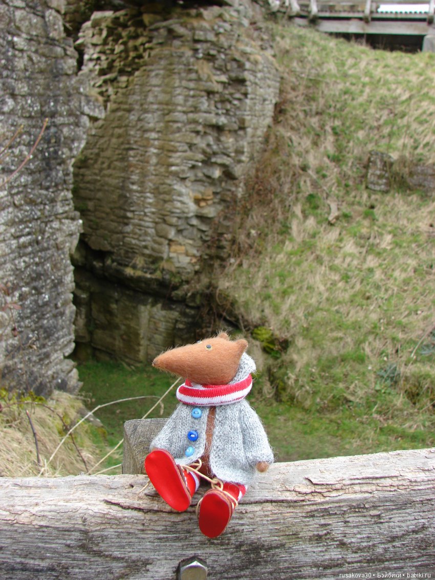 Как Людвиг замок Барнард осматривал