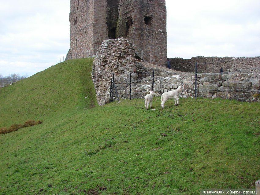 Замки графства Дарем — Туризм и путешествия: фотоотчеты из поездок