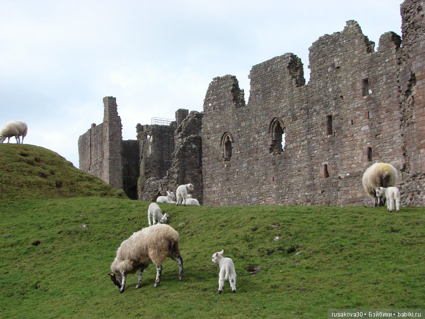 Замки графства Дарем — Туризм и путешествия: фотоотчеты из поездок