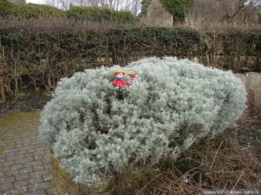 Как Людвиг замок Барнард осматривал