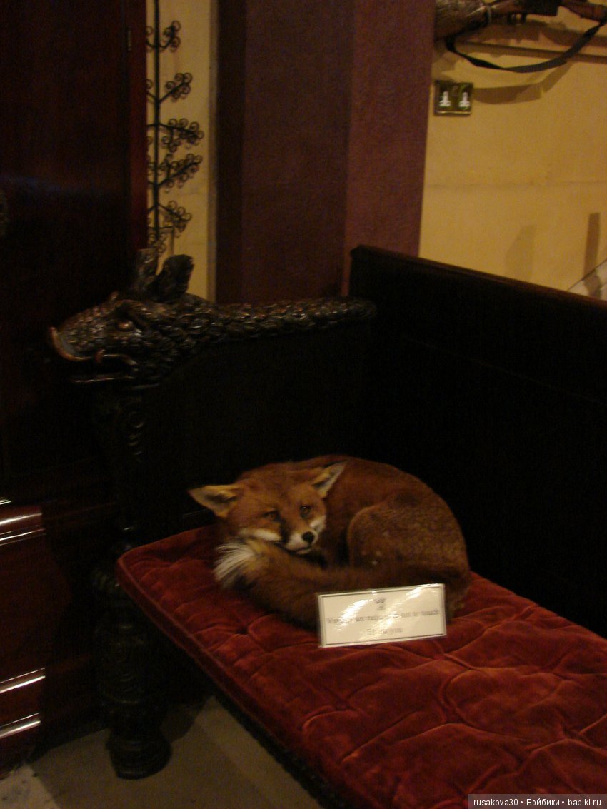 Шикарный замок Рэби (Raby Castle) продолжение